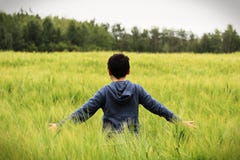 Un giovane ragazzo cammina in un campo verde dell'orzo con le armi fuori fotografie stock libere da diritti Un giovane ragazzo cammina in un campo verde dell'orzo con le armi fuori fotografie stock libere da diritti