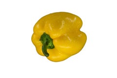 Un grand paprika jaune aisolated sur le fond blanc, fin, images libres de droits Un grand paprika jaune aisolated sur le fond blanc, fin, images libres de droits