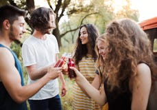 Un groupe d'amis se tenant dehors sur une promenade en voiture par la campagne, bouteilles tintantes image stock Un groupe d'amis se tenant dehors sur une promenade en voiture par la campagne, bouteilles tintantes image stock