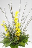 Un groupe de fleur pour Pâques avec le saule et le forsythia de chat photos stock Un groupe de fleur pour Pâques avec le saule et le forsythia de chat photos stock