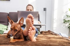 Un hombre descalzo feliz está trabajando en su ordenador portátil en casa mientras que su perro está haciendo cosas divertidas imágenes de archivo libres de regalías Un hombre descalzo feliz está trabajando en su ordenador portátil en casa mientras que su perro está haciendo cosas divertidas imágenes de archivo libres de regalías