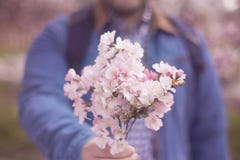 Un jeune homme donnant le boquet des fleurs, du ressort, de l'amour et de Roma roses photographie stock Un jeune homme donnant le boquet des fleurs, du ressort, de l'amour et de Roma roses photographie stock