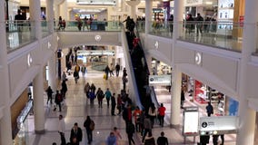Un lado de la gente que hace compras dentro de alameda de compras de Burnaby almacen de metraje de vídeo Un lado de la gente que hace compras dentro de alameda de compras de Burnaby almacen de metraje de vídeo