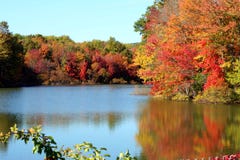 Un lago nella caduta fotografia stock libera da diritti Un lago nella caduta fotografia stock libera da diritti
