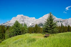 Un lugar para tomar un breake en el bosque imagen de archivo libre de regalías Un lugar para tomar un breake en el bosque imagen de archivo libre de regalías