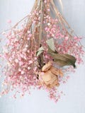 Un manojo de flores secas imágenes de archivo libres de regalías Un manojo de flores secas imágenes de archivo libres de regalías