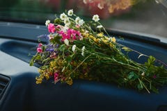 Un mazzo dei fiori selvaggi si trova nell'automobile fotografia stock libera da diritti Un mazzo dei fiori selvaggi si trova nell'automobile fotografia stock libera da diritti