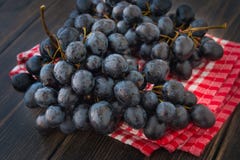Un mazzo di uva nera bagnata, uva di inverno della montagna Fotografia Stock Libera da Diritti Un mazzo di uva nera bagnata, uva di inverno della montagna Fotografia Stock Libera da Diritti