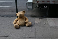 Un orso perso nel Midtown fotografia stock libera da diritti Un orso perso nel Midtown fotografia stock libera da diritti