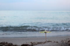 Un parapluie d'un cocktail dans le sable sur la plage dans la perspective des vagues de mer photographie stock Un parapluie d'un cocktail dans le sable sur la plage dans la perspective des vagues de mer photographie stock