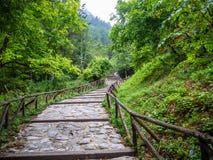 Un paseo fascinador y dif?cil mientras que sube el monte Olimpo en Grecia fotografía de archivo Un paseo fascinador y dif?cil mientras que sube el monte Olimpo en Grecia fotografía de archivo