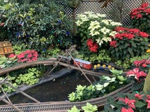 Un pequeño tren que ir y a través de las flores en la casa de la flor fotografía de archivo libre de regalías Un pequeño tren que ir y a través de las flores en la casa de la flor fotografía de archivo libre de regalías