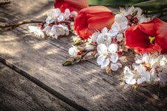 Un ramo de tulipanes y de ramas rojos de las flores blancas en los viejos tableros de madera Lugar para el texto El concepto de p fotos de archivo Un ramo de tulipanes y de ramas rojos de las flores blancas en los viejos tableros de madera Lugar para el texto El concepto de p fotos de archivo