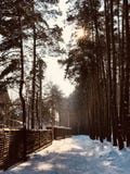 Un recinto di inverno e una luce solare commovente fuori di Kyiv o di Kiev, Ucraina Immagine Stock Un recinto di inverno e una luce solare commovente fuori di Kyiv o di Kiev, Ucraina Immagine Stock