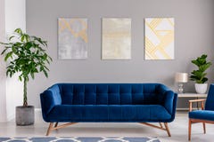 Un sofá azul marino del terciopelo delante de una pared gris con las pinturas gráficas en un interior moderno de la sala de estar foto de archivo Un sofá azul marino del terciopelo delante de una pared gris con las pinturas gráficas en un interior moderno de la sala de estar foto de archivo