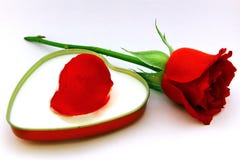 Un tributo al San Valentino immagini stock libere da diritti Un tributo al San Valentino immagini stock libere da diritti
