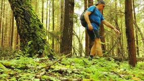Un turista con una mochila está caminando a través del bosque Un turista con una mochila está caminando a través del bosque