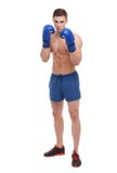 Un type musculaire dans des gants de boxe se tient dans une position de combat sur un fond d'isolement par blanc Front View images stock Un type musculaire dans des gants de boxe se tient dans une position de combat sur un fond d'isolement par blanc Front View images stock