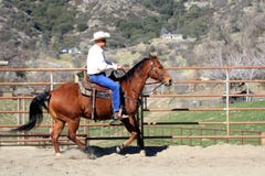 Un vaquero Riding His Horse imágenes de archivo libres de regalías Un vaquero Riding His Horse imágenes de archivo libres de regalías