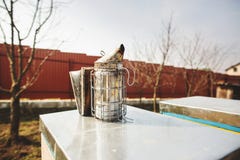 Un équipement de base de l'apiculture - fumeur d'abeille - sur le dessus de la ruche d'abeille une journée de printemps Fin vers images stock Un équipement de base de l'apiculture - fumeur d'abeille - sur le dessus de la ruche d'abeille une journée de printemps Fin vers images stock