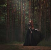Una bella principessa gotica con pelle pallida e capelli rossi molto lunghi in una corona nera ed in un vestito lungo nero cammin fotografia stock Una bella principessa gotica con pelle pallida e capelli rossi molto lunghi in una corona nera ed in un vestito lungo nero cammin fotografia stock