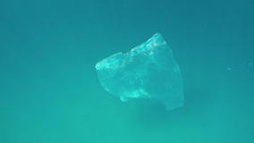 Una bolsa de plástico vieja flota en el mar Una bolsa de plástico vieja flota en el mar