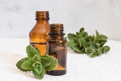 Una botella de aceite esencial de la menta con las hojas de menta fresca en el fondo fotos de archivo libres de regalías Una botella de aceite esencial de la menta con las hojas de menta fresca en el fondo fotos de archivo libres de regalías