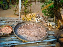 Una cesta con el grano en Birmania foto de archivo Una cesta con el grano en Birmania foto de archivo