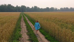 Una chica joven en un vestido camina a lo largo de un campo de trigo Madrugada, niebla ligera almacen de video Una chica joven en un vestido camina a lo largo de un campo de trigo Madrugada, niebla ligera almacen de video