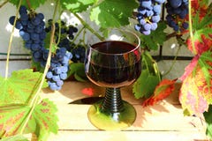 Image%20result%20for%20man%20and%20cup%20of%20red%20wine