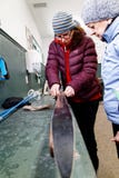 Una donna che mostra qualcuno come preparare gli sci del paese trasversale immagine stock libera da diritti Una donna che mostra qualcuno come preparare gli sci del paese trasversale immagine stock libera da diritti