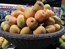 Una foto di un mango preso alla mia sede di attività immagini stock libere da diritti Una foto di un mango preso alla mia sede di attività immagini stock libere da diritti