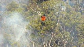 Una llama en bosque con el humo que consigue regado metrajes Una llama en bosque con el humo que consigue regado metrajes