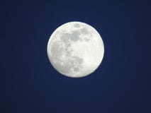 Una luna sobre los árboles imagen de archivo Una luna sobre los árboles imagen de archivo
