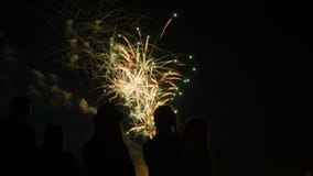 Una muchedumbre de gente mira los fuegos artificiales coloridos y celebra almacen de video Una muchedumbre de gente mira los fuegos artificiales coloridos y celebra almacen de video