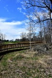 Una nueva trayectoria enselvada hermosa de la bici en primavera foto de archivo libre de regalías Una nueva trayectoria enselvada hermosa de la bici en primavera foto de archivo libre de regalías