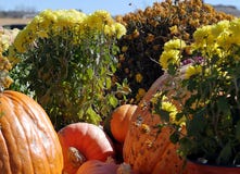 Una piccola natura morta sull'argomento di Halloween fotografia stock libera da diritti Una piccola natura morta sull'argomento di Halloween fotografia stock libera da diritti