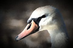 Una pintura digital de un cisne blanco hermoso en perfil libre illustration Una pintura digital de un cisne blanco hermoso en perfil libre illustration