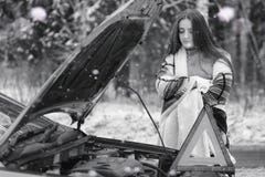 Una ragazza in un giorno nuvoloso di inverno fotografia stock libera da diritti Una ragazza in un giorno nuvoloso di inverno fotografia stock libera da diritti