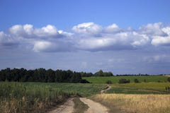 Una strada non asfaltata in un campo fra il grano, i girasoli ed il cereale maturi immagini stock libere da diritti Una strada non asfaltata in un campo fra il grano, i girasoli ed il cereale maturi immagini stock libere da diritti