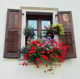 Una ventana con los geranios coloreados que descansan sobre el travesaño de la ventana imagen de archivo Una ventana con los geranios coloreados que descansan sobre el travesaño de la ventana imagen de archivo