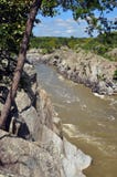 Una vista de las caídas en el parque de Great Falls en Virginia imagen de archivo Una vista de las caídas en el parque de Great Falls en Virginia imagen de archivo