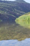 Una vista lunga dalle rive all'acqua di vetro Green River immagine stock Una vista lunga dalle rive all'acqua di vetro Green River immagine stock