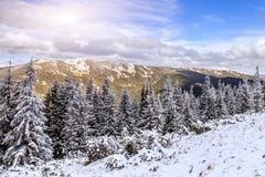 Underbar vinterliggande ammazing sikt den snö täckte fjällängen sörjer och slösar perfekt himmel fotografering för bildbyråer Underbar vinterliggande ammazing sikt den snö täckte fjällängen sörjer och slösar perfekt himmel fotografering för bildbyråer