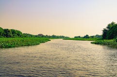 Underbart landskap på solnedgången av det översvämmade vattnet av Pantanal arkivfoto Underbart landskap på solnedgången av det översvämmade vattnet av Pantanal arkivfoto