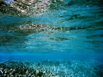 Underwater Landscape Royalty Free Stock Image