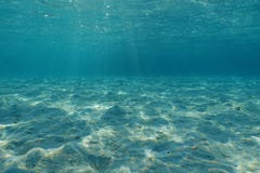 Underwater Sunlight Sand Ocean Floor Stock Photos Download 628