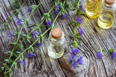 Une bouteille d'huile essentielle d'hysope avec l'hysope de floraison fraîche photos stock Une bouteille d'huile essentielle d'hysope avec l'hysope de floraison fraîche photos stock