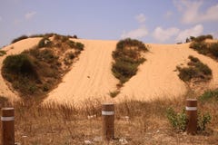 Une colline dans une dune dans un secteur de désert photos stock Une colline dans une dune dans un secteur de désert photos stock