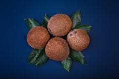 Une composition des noix de coco sur un fond bleu-foncé Noix de coco nutritives sur les feuilles vertes Fruits délicieux et tropi photo stock Une composition des noix de coco sur un fond bleu-foncé Noix de coco nutritives sur les feuilles vertes Fruits délicieux et tropi photo stock